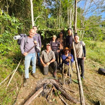 Sobrevicência Básico